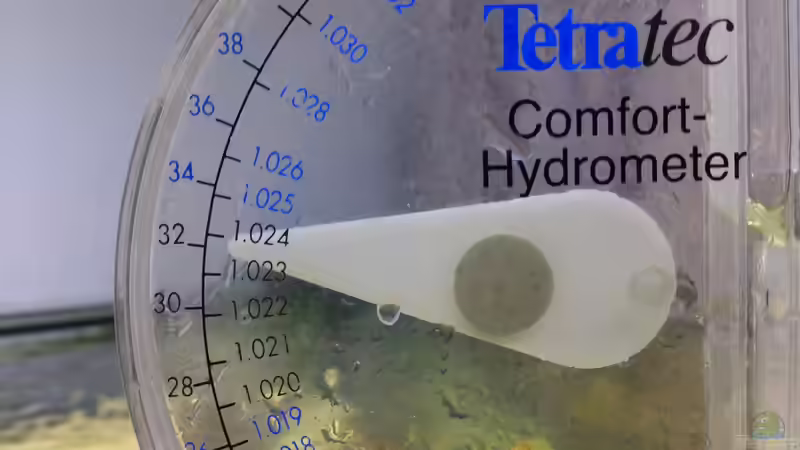 Technik im Aquarium Becken 28039 von Freakesoit (17)