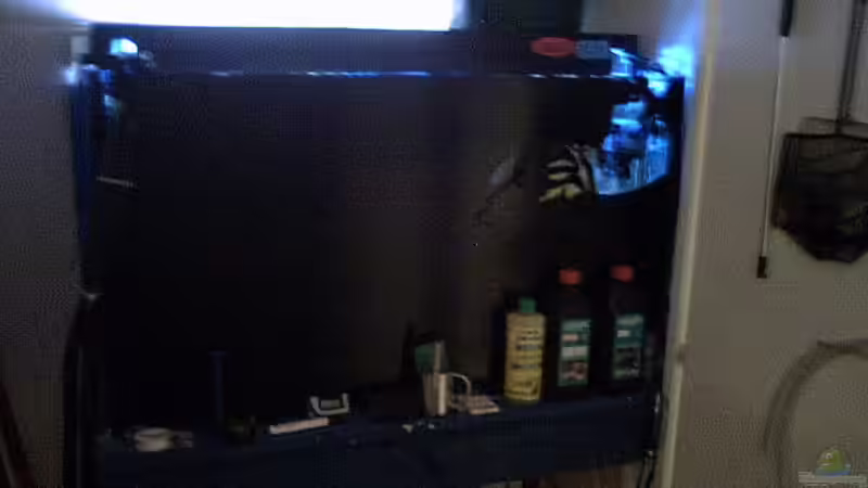 Technik im Aquarium Becken 2847 von Sören Petersen (15)