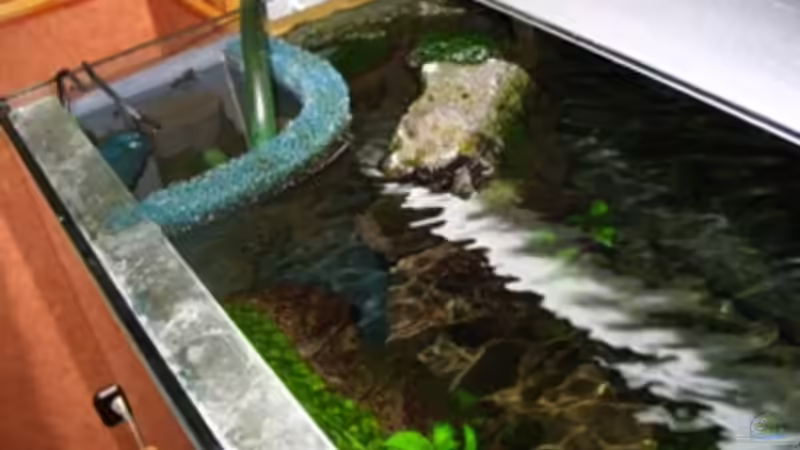 Technik im Aquarium Becken 2850 von Olaf Kaul (5)