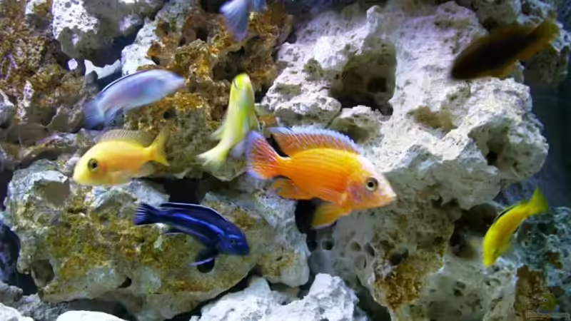 Technik im Aquarium Becken 2878 von Daniel Boening (4)