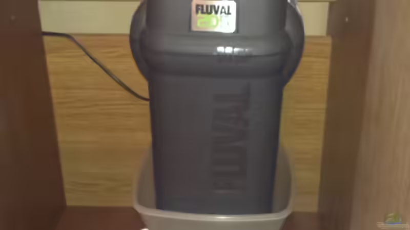 Technik im Aquarium Becken 28944 von Rocco Schellenberger (3)