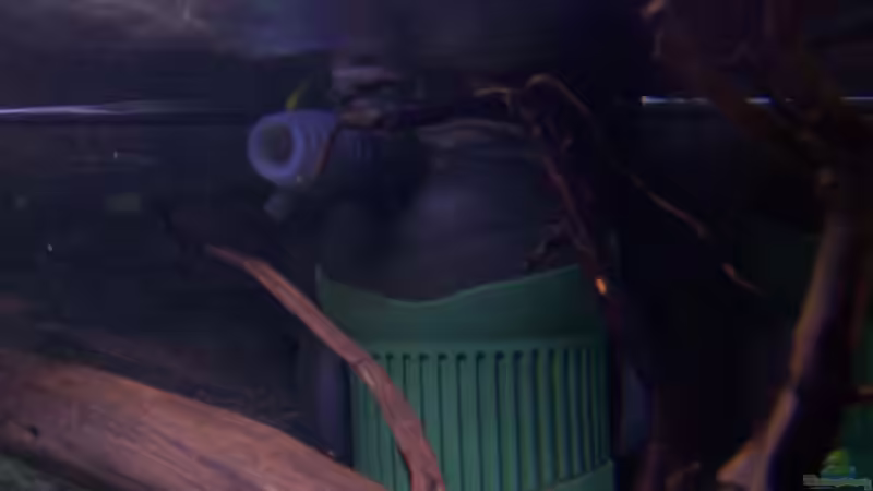 Technik im Aquarium Becken 2895 von Andreas Jüngling (10)