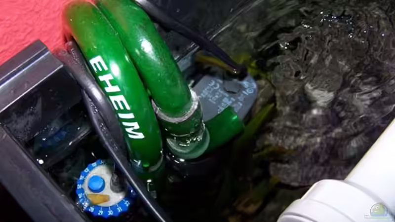 Technik im Aquarium Becken 2895 von Andreas Jüngling (11)