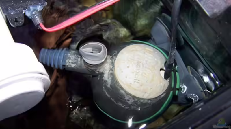 Technik im Aquarium Becken 2895 von Andreas Jüngling (12)