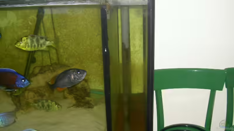 Technik im Aquarium Becken 2930 von Sascha Kersting (3)