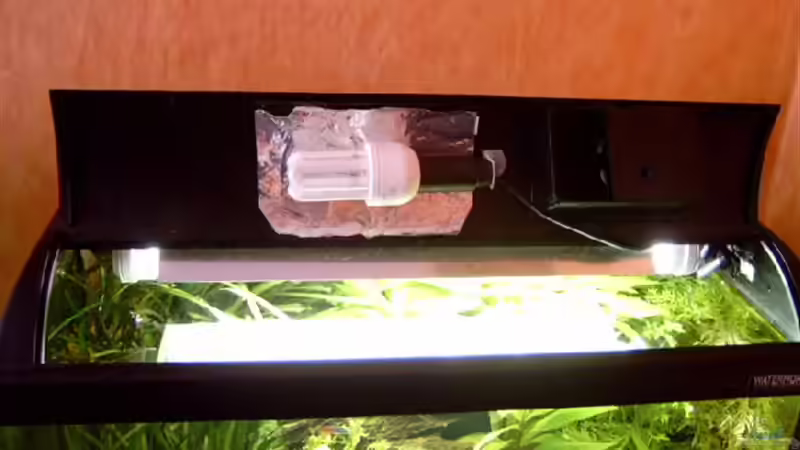 Technik im Aquarium Becken 2932 von Christian Wolf (8)