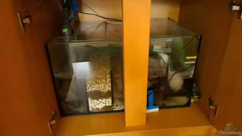 Technik im Aquarium Becken 29347 von Hans-Walter Bandt (22)