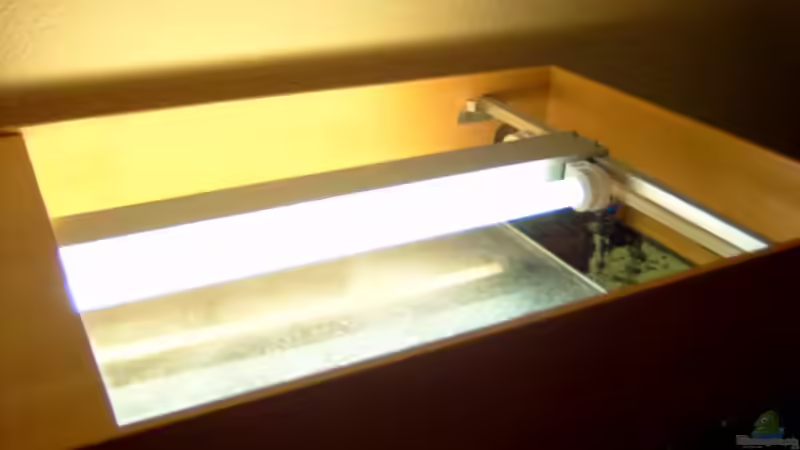 Technik im Aquarium Becken 295 von Carsten Heinen (7)