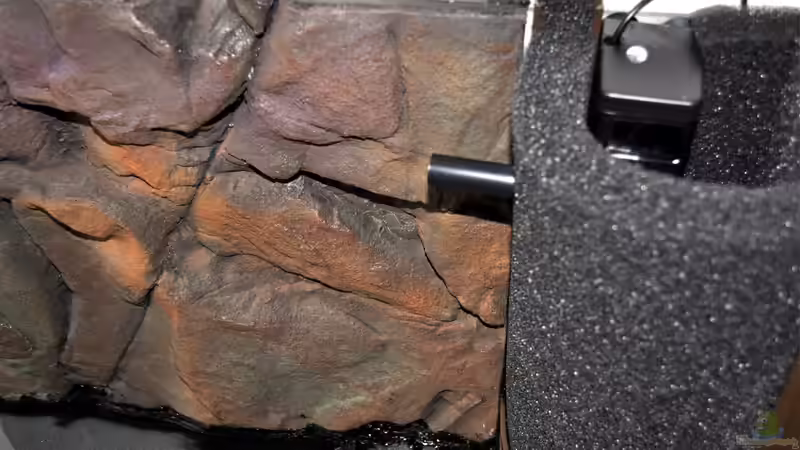 Technik im Aquarium Becken 29837 von Niederrain (11)