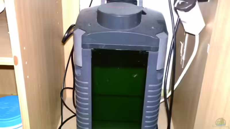 Technik im Aquarium Becken 2989 von Tobias Bernotat (5)