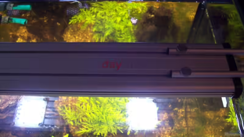 Technik im Aquarium Becken 30000 als Raumteiler von Jens J. (25)