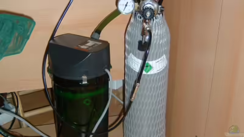 Technik im Aquarium Becken 3013 von Ute Dömelt (5)