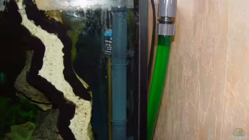 Technik im Aquarium Becken 3055 von Thomas Knecht (7)