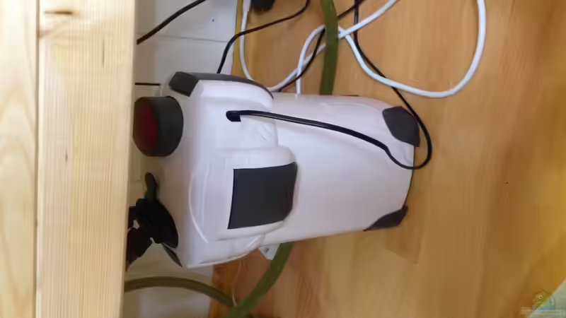 Technik im Aquarium Becken 30559 von Marcel Klein (5)