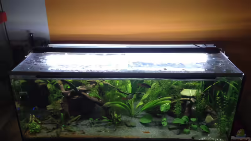 Technik im Aquarium Becken 30761 von Quasi (6)