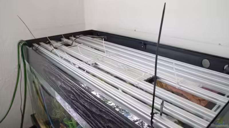 Technik im Aquarium Becken 30852 von Nobody (36)