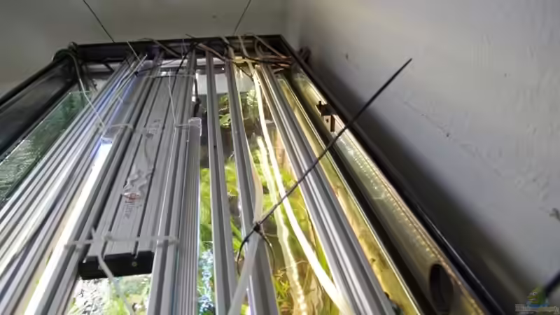 Technik im Aquarium Becken 30852 von Nobody (37)