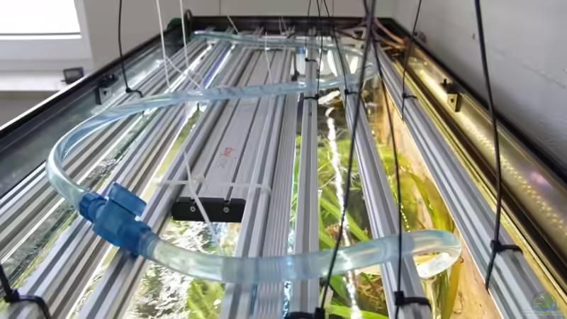 Technik im Aquarium Becken 30852 von Nobody (38)