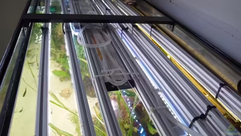 Technik im Aquarium Becken 30852 von Nobody (39)