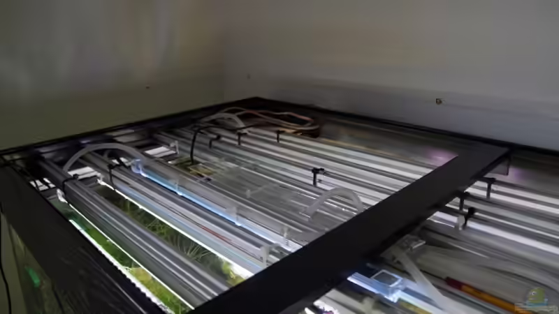 Technik im Aquarium Becken 30852 von Nobody (40)