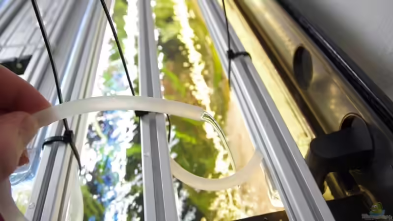 Technik im Aquarium Becken 30852 von Nobody (41)