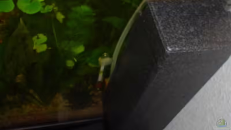 Technik im Aquarium Becken 3090 von Daniel Schilling (6)