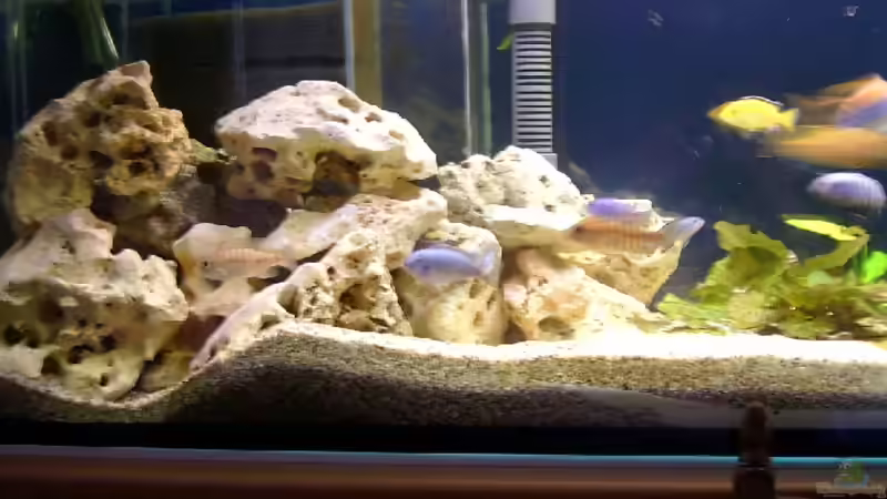 Technik im Aquarium Becken 310 von Marion Kohl (4)