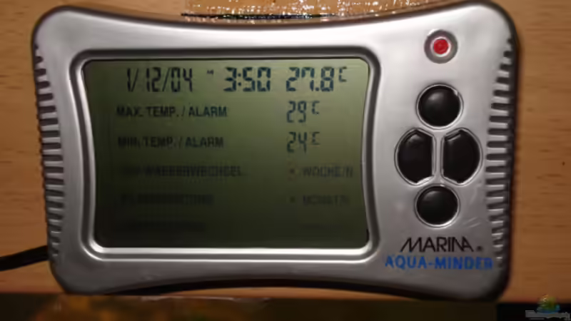 Technik im Aquarium Becken 3104 von Dennis Kaiser (11)