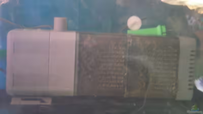 Technik im Aquarium Becken 3104 von Dennis Kaiser (12)