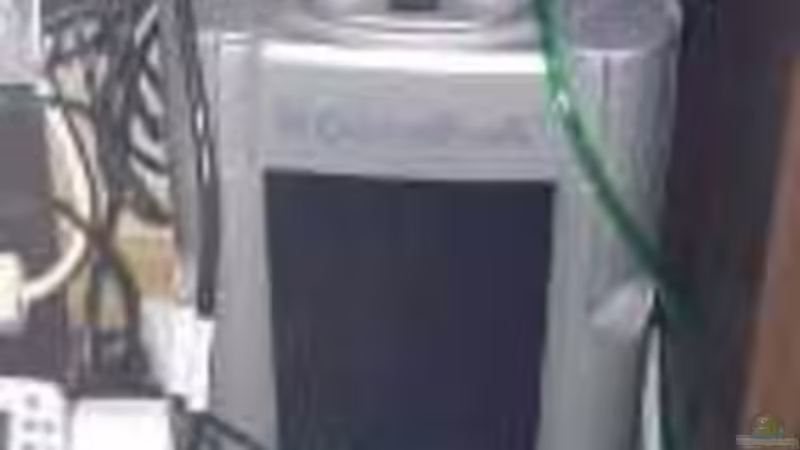 Technik im Aquarium Becken 31313 von Michael Lüdicke (7)