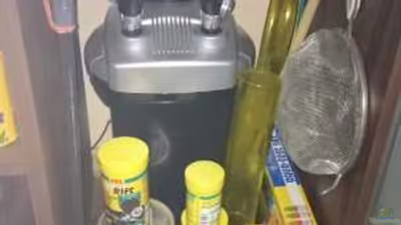 Technik im Aquarium Becken 31313 von Michael Lüdicke (8)