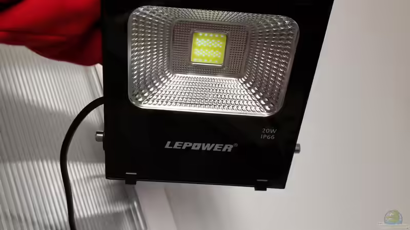 Technik im Aquarium Becken 31478 von Marcel Müller (69)