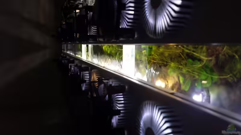 Technik im Aquarium Becken 31567 von hondatec (4)