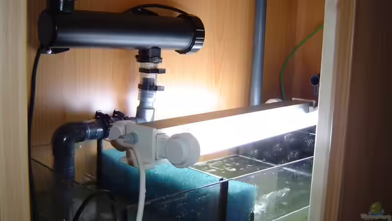 Technik im Aquarium Becken 3172 von Christian Schröter (12)