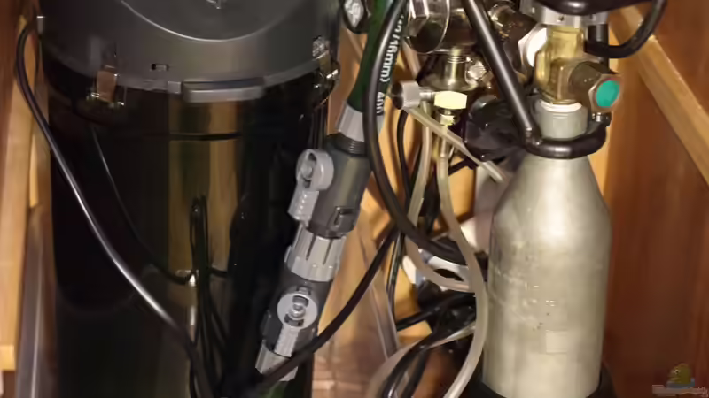 Technik im Aquarium Becken 31908-Aufgelöst von LaFrieda (18)