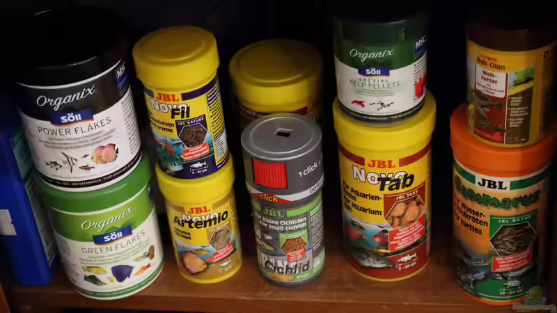 Technik im Aquarium Becken 31908-Aufgelöst von LaFrieda (19)