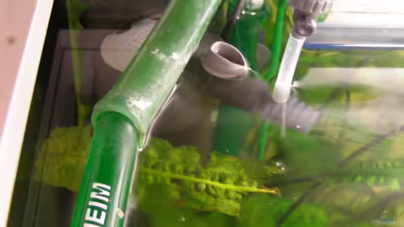 Technik im Aquarium Becken 3248 von Markus Wittmann (4)