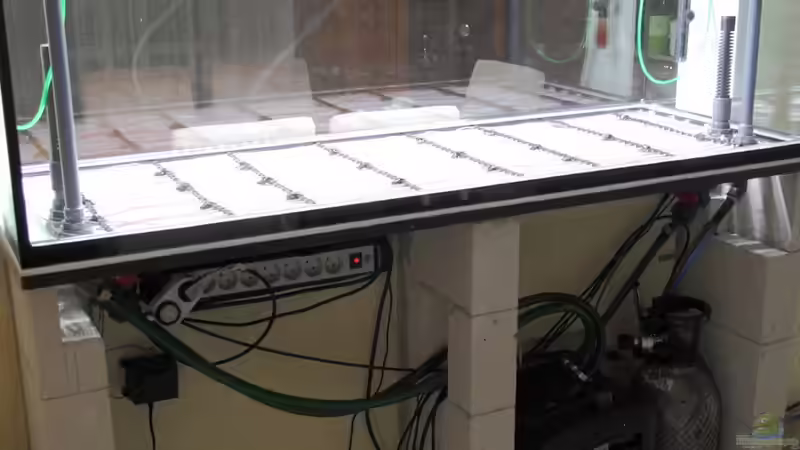 Technik im Aquarium Becken 32572 von Armin Sauer (11)