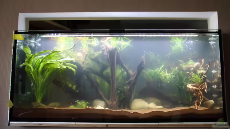 Technik im Aquarium Becken 32572 von Armin Sauer (12)