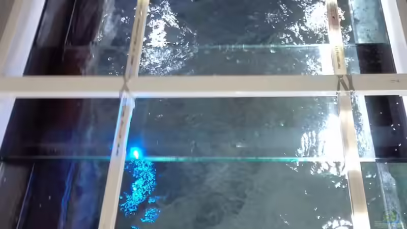 Technik im Aquarium Becken 32689 von Heike Fuchs (29)