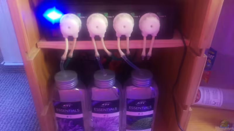 Technik im Aquarium Becken 32784 von schilli (8)