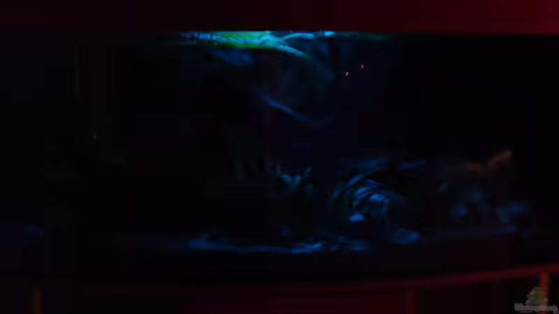 Technik im Aquarium Becken 3283 von Pierre Weihmann (5)