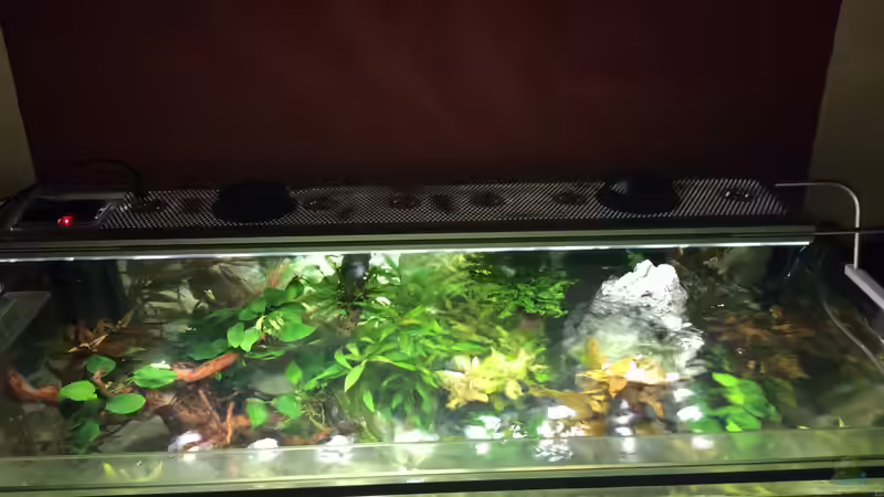 Technik im Aquarium Becken 33060 von Rocknar (9)