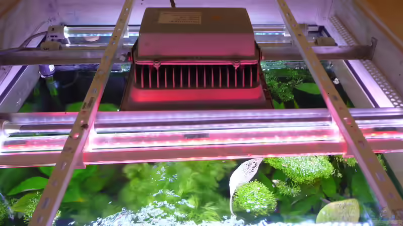 Technik im Aquarium Becken 33229 von stveko (13)