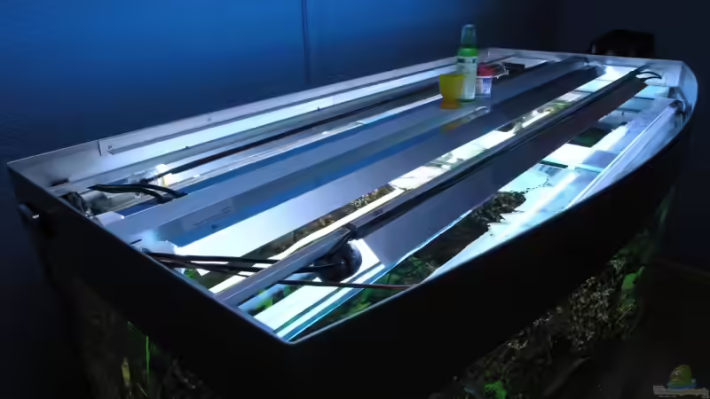 Technik im Aquarium Becken 3340 von Daniel Schaefer (9)