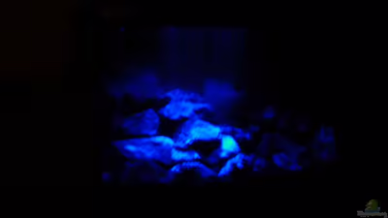 Technik im Aquarium Becken 3353 von Jörn Thiedemann (6)