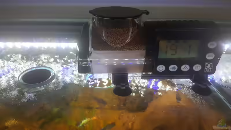 Technik im Aquarium Becken 33581 von Bawitdaba (14)