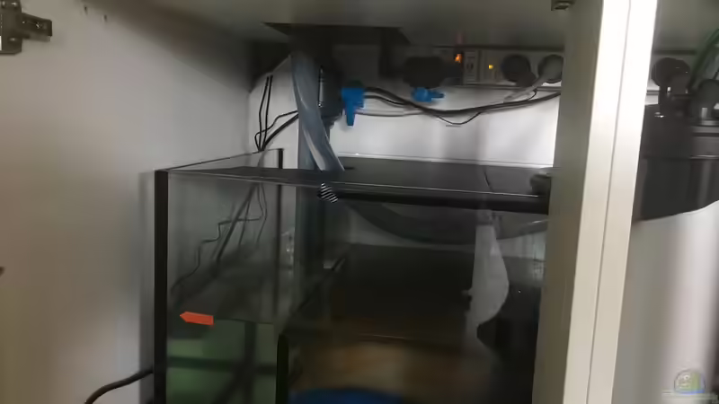 Technik im Aquarium Becken 33795 von Enrico Fröhlich (10)