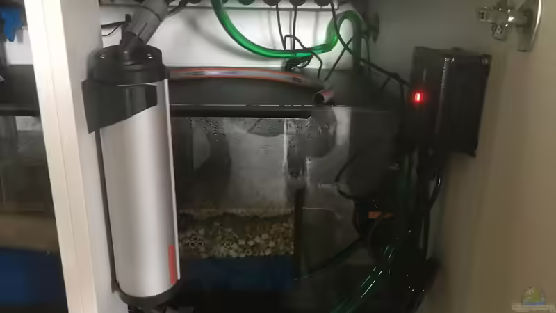 Technik im Aquarium Becken 33795 von Enrico Fröhlich (11)