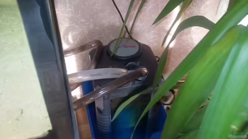 Technik im Aquarium Becken 3408 von Thomas Fricke (7)